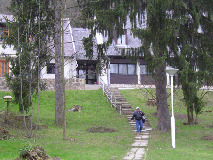 SANY9131