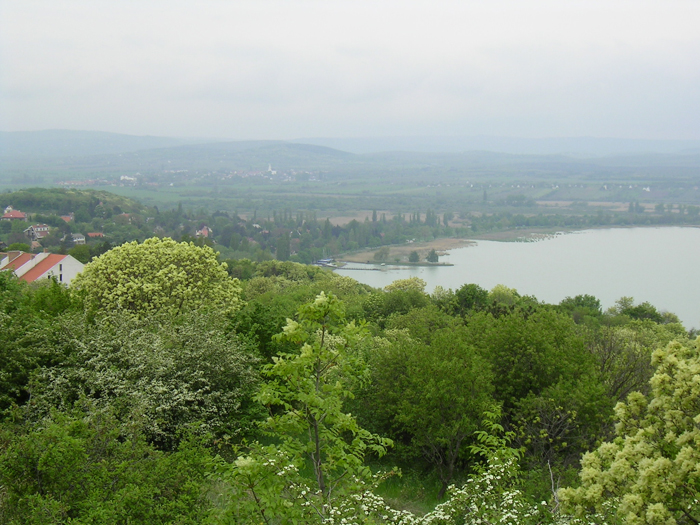 SANY0195