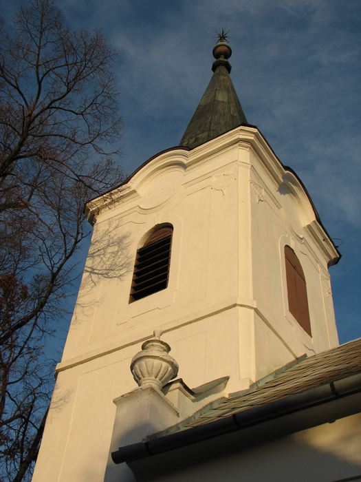 IMG_6994