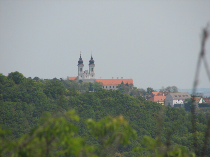IMG_0076