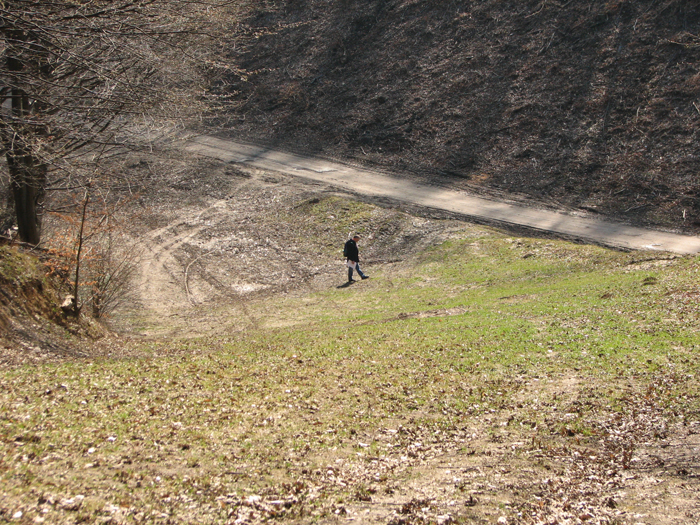 IMG_5559