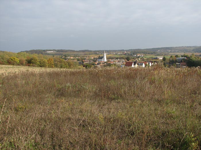 IMG_1025