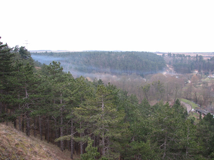 IMG_0035D