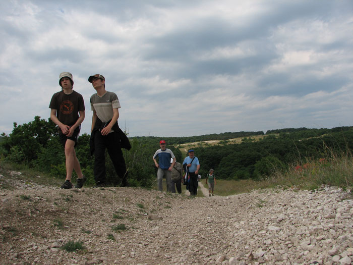 IMG_6389D