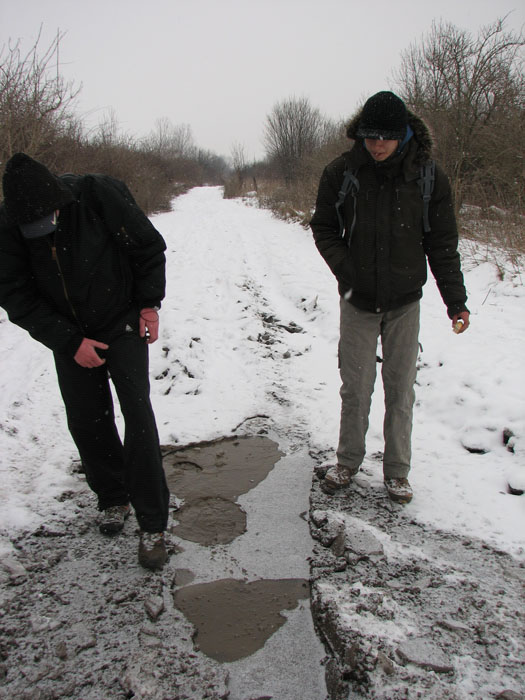305