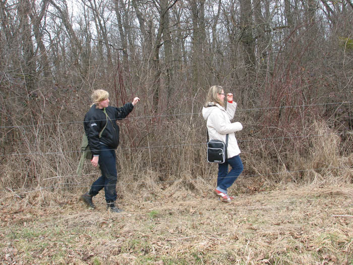 026