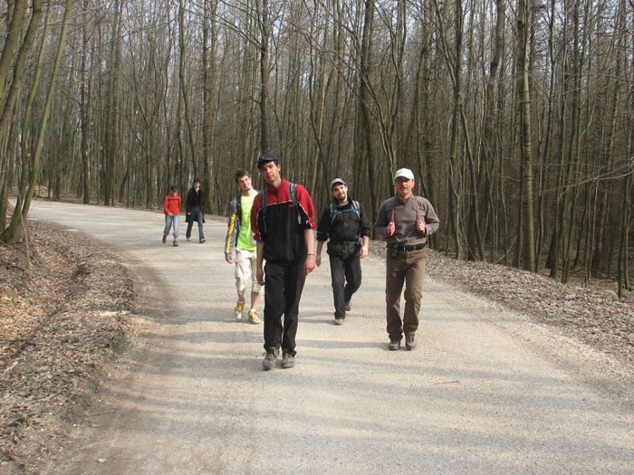 010