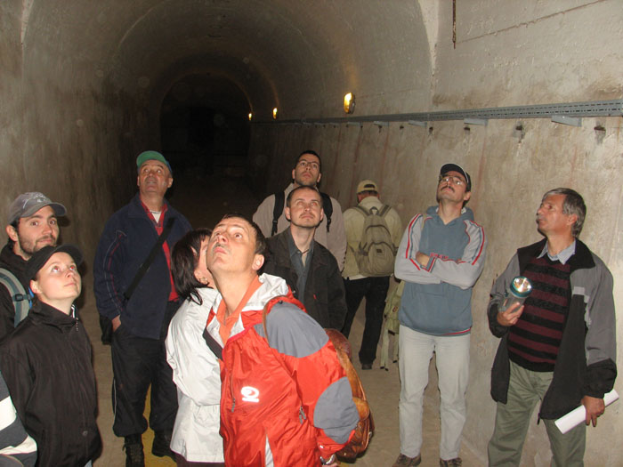 011